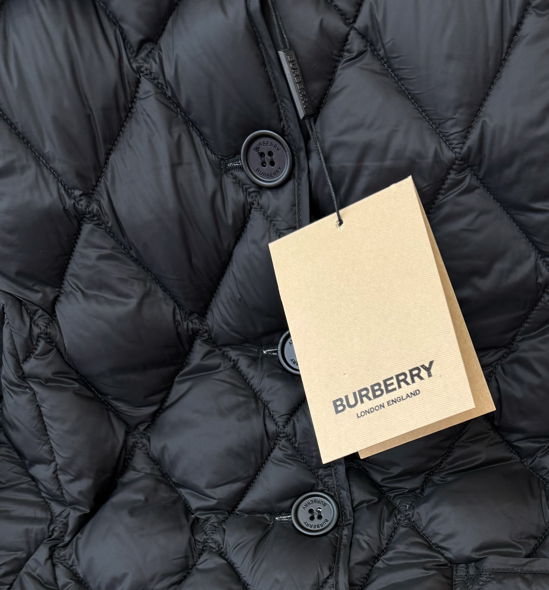 Burberry Down Jackets